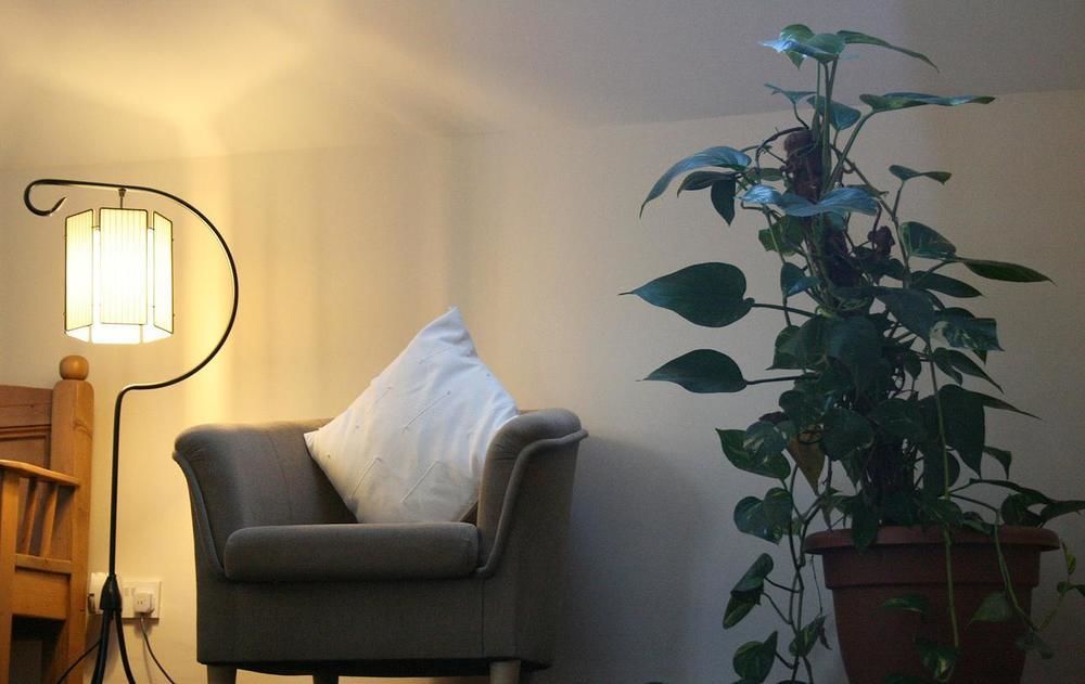 Bed and Breakfast Ross House Roscommon Exteriér fotografie